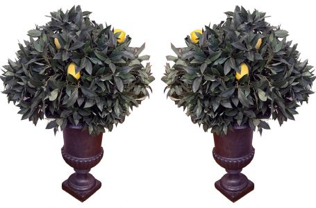 Gusseisen in Urnenform mit altersbedingter Patina für den Innen- als auch Außenbereich. Höhe: 54 cm | Durchmesser: 41 cm Nr.2715 Pro Vase: 1.500,-€