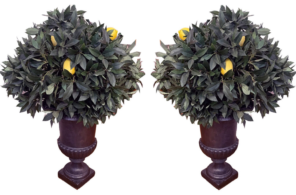 Gusseisen in Urnenform mit altersbedingter Patina für den Innen- als auch Außenbereich. Höhe: 54 cm | Durchmesser: 41 cm Nr.2715 Pro Vase: 1.500,-€