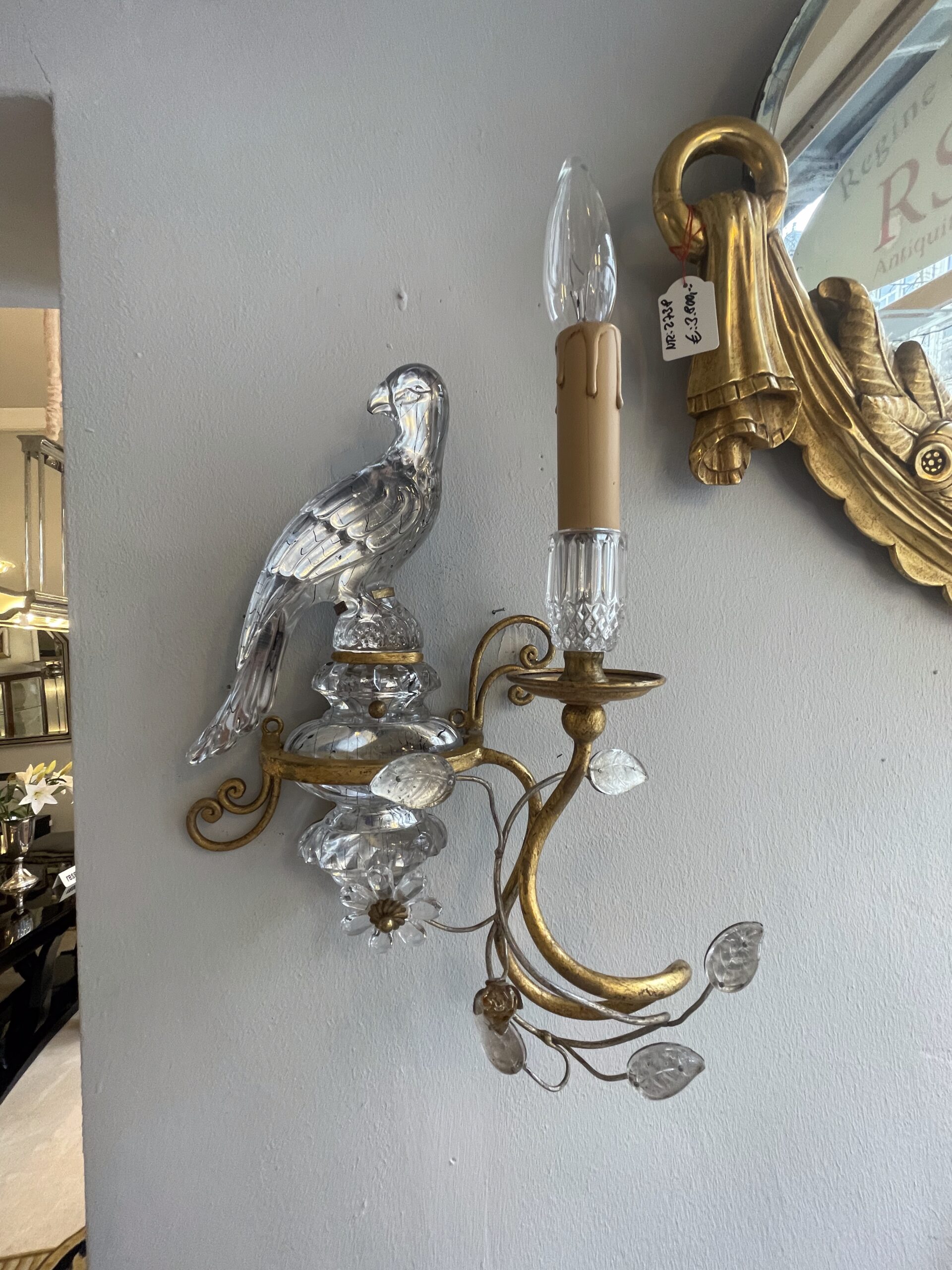 Pair of Parrot Wall Lamps