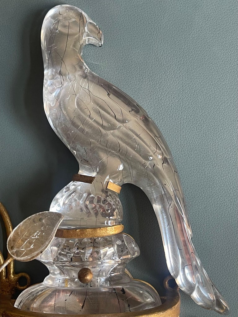 Pair of Parrot Wall Lamps